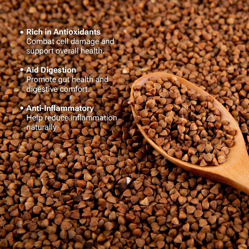 Methi/Fenugreek